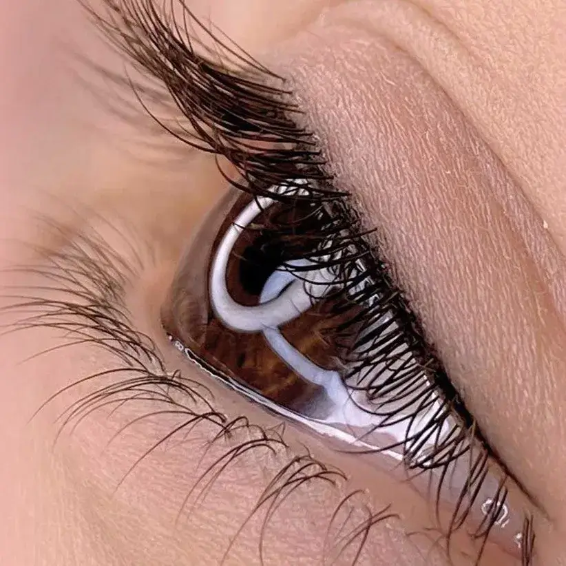 Permanent Eyeliner and Dip Eyeliner